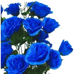 Royal Blue Giant Open Rose Bushes