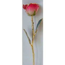 24 Karat Gold-Trimmed Rose in Red and White