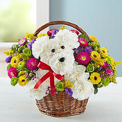 A-Dog-Able Bouquet in a Basket
