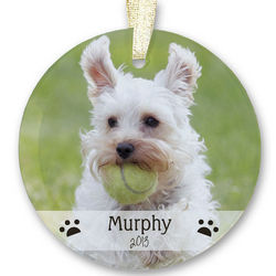 Personalized Pet Photo Beveled Glass Ornament