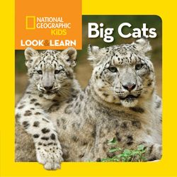 Kid's Big Cats Look and Learn Book