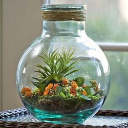 Recycled Glass Terrarium Jar