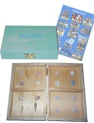 16 Mini Sea Shells Collection