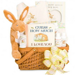 Love Newborn Baby Gift Basket
