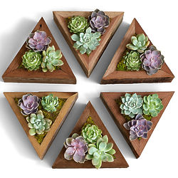 6 Handmade Wooden Succulent Planter Triangles