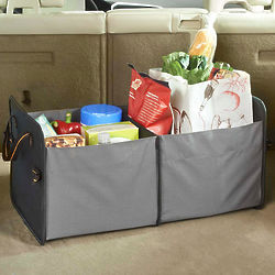 Carry All Trunk and Cargo Tote