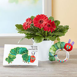 Hungry Caterpillar Gerbera Daisy with Book and Rattle