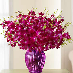 Exotic Breeze Orchid Bouquet