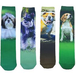 Dog Breed Sublimated Print Socks