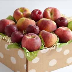 Summer Peaches & Plums Gift Box