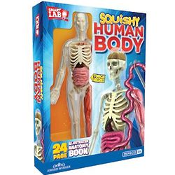 Human Skull and Brain Squishy Body Toy Set