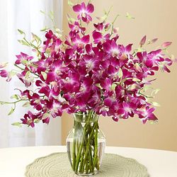 Purple Dendrobium Orchid Bouquet