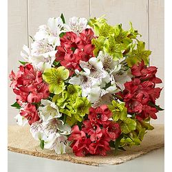 Christmas Peruvian Lily Bouquet