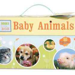 Baby Animals Books in a Box
