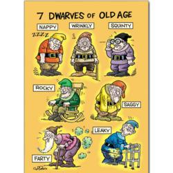 The 7 Dwarves of Old Age Birthday Card