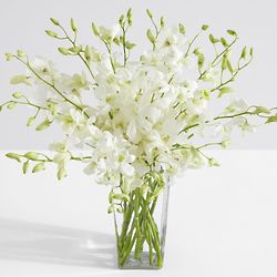 White Dendrobium Orchids with Square Vase and Chocolates