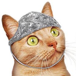 Tin Foil Hat for Cats