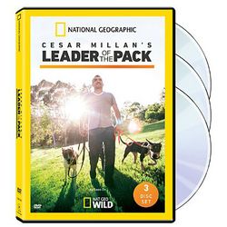 Cesar Millan's Leader of the Pack DVD