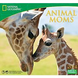 2014 National Geographic Animal Moms Wall Calendar