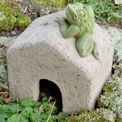 Square Toad House