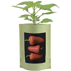 Sweet Pepper Organic Seed Starts Pouch