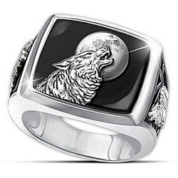 Men's Stainless Steel and Black Onyx Into the Wild Ring