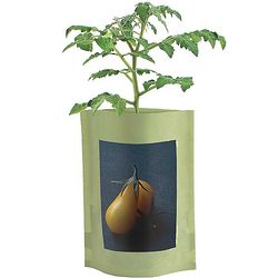 Yellow Pear Tomato Organic Seed Starts Pouch