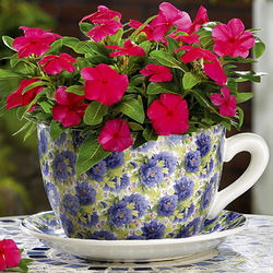 Lavender Rose Teacup Planter