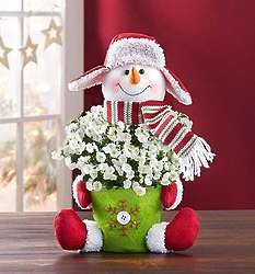 Frosty the Snow Plant Campanula and Vase