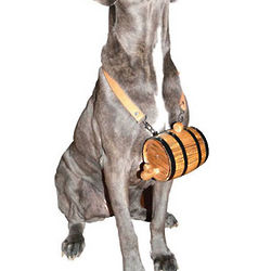Personalized Barrel Dog Collar