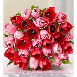 Valentine's Day Sweetest Love Tulip Bouquet
