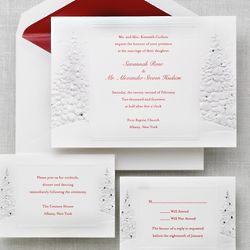 Winter's Romance Wedding Invitations