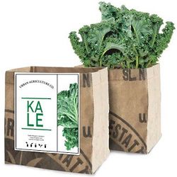 Kale Organic Grow Kit