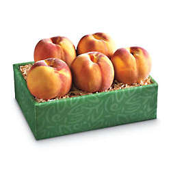 Light Size Oregold Peaches