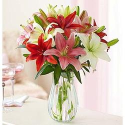 Valentine's Day Lovely Lilies