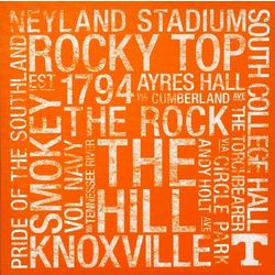 Tennessee Volunteers Square College Colors Subway Art Print