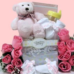 Special Delivery Baby Girl Gift Basket