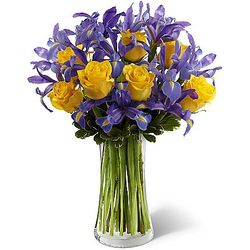 Sunlit Treasures Iris and Rose Bouquet