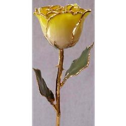 Yellow Two Toned and 24k Gold Trimmed Preserved Rose