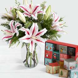 Candy Cane Lilies with 12 Days of Christmas Cocoa Boxes