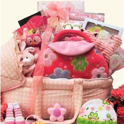 Best Wishes Baby Girl Gift Basket