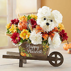 a-DOG-able Bouquet for Fall