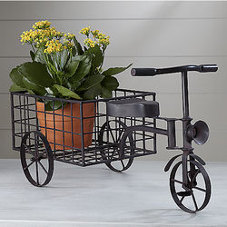 Rustic Tricycle Planter