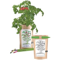 Kid's Garden-in-a-Bag Mini Tomatoes