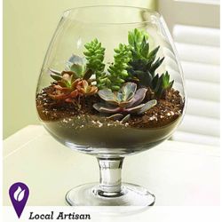 Succulent Dish Garden in Brandy Glass