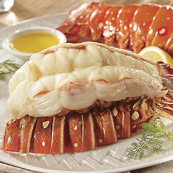 4 Succulent 8-oz. Lobster Tails Gift Box