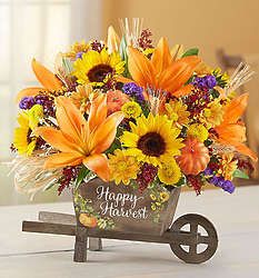 Happy Harvest Large Wheelbarrow Floral Arrangement