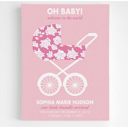 Baby Girl's Stroller Announcement Framed Art