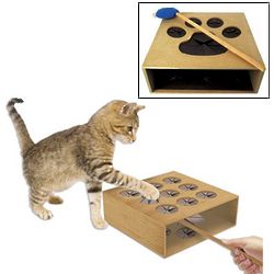 Whack A Mouse Cat Game