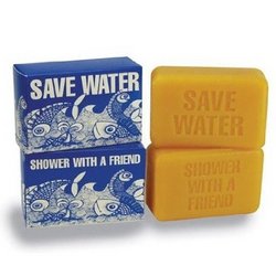 Save Water and Shower with a Friend Bar Soap
